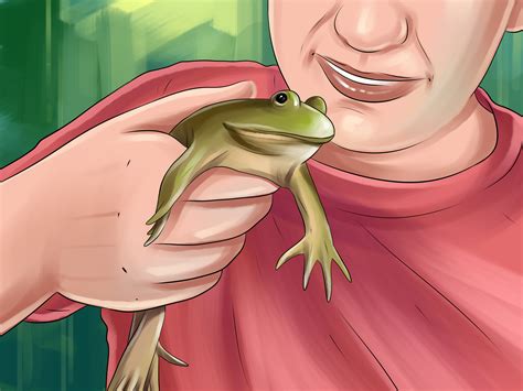 How to Take Care of an American Bullfrog: 14 Steps (with Pictures)