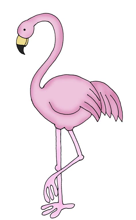 Flamingo Cartoon Drawing