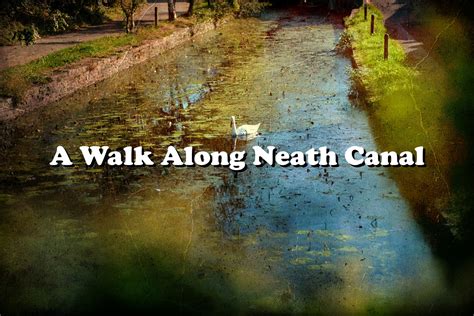 A Walk Along Neath Canal – OneCameraOneLens.Com