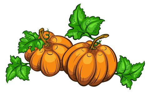 Transparent Pumpkins PNG Clipart Picture | Pumpkin images, Clip art, Pumpkin png