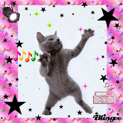 dancing cat Animated Picture Codes and Downloads #63881244,217891765 ...