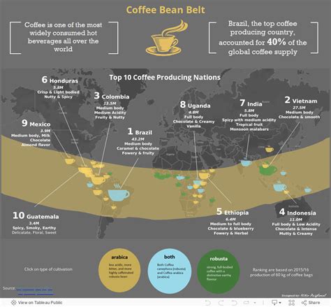 Coffee Bean Belt Map