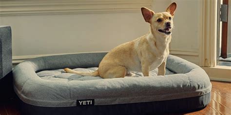 Premium Orthopedic Dog Beds | Bone Voyage Dog Rescue