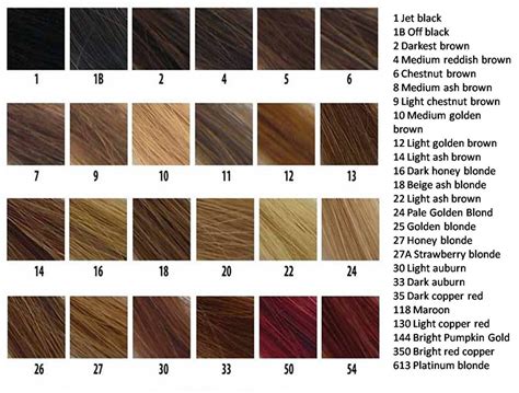 brown hair color chart - Coloring hair and hair highlighting will be ...