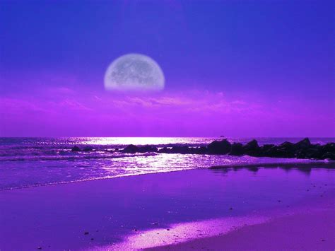 Moonlight Beach Wallpapers - Top Free Moonlight Beach Backgrounds - WallpaperAccess