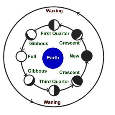 Kids science: Phases of the Moon