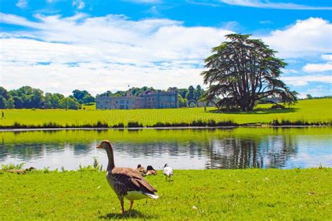 View of Leeds Castle Gardens United Kingdom Stock Photo - Image of geese, green: 207578042