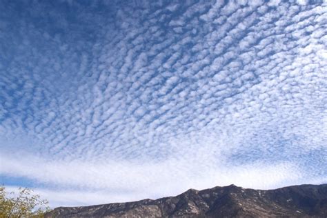 Altocumulus clouds | Cloud-maven