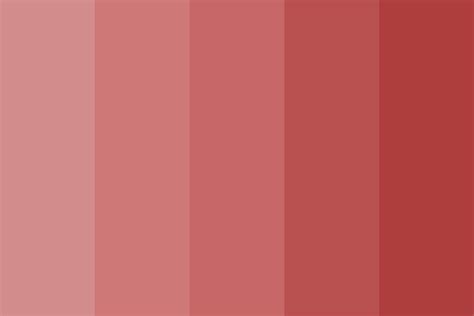 shades of salmon Color Palette