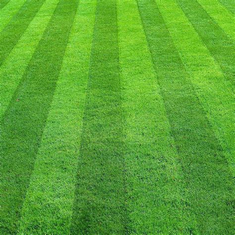 Best Lawn Mowing Patterns | Cardinal Lawns