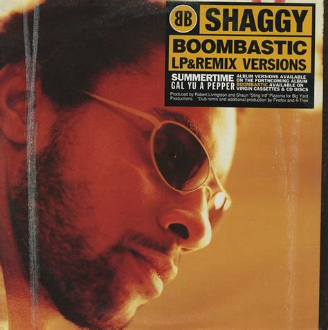 Shaggy – Boombastic – Vinyl (12", 33 ⅓ RPM), 1995 [r101325] | Discogs