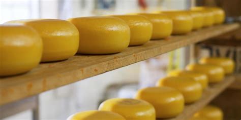 What Is Fermented Cheese? (with pictures)