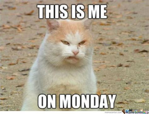 monday meme for work monday meme positive funny monday memes for work monday meme funny happy ...