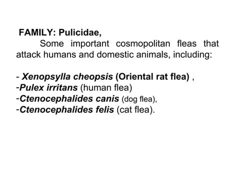 Insect classification lab21