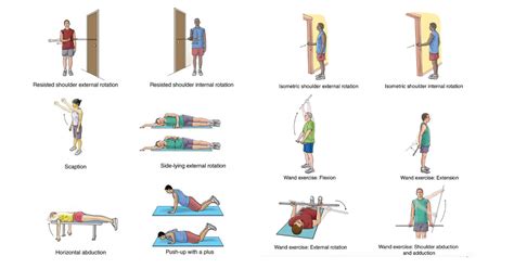 Isometric Shoulder Exercises Handout