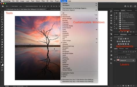 Adobe Photoshop Elements vs Photoshop CC - Which is Best 2024?