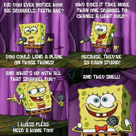 25 best SpongeBob quotes for every occasion - Legit.ng