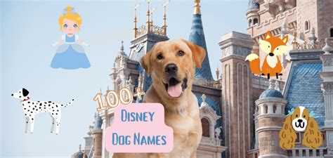 Disney Dog Names – 100+ Ideas for Your Pup - PetsTime