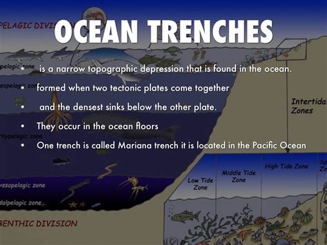 Deep Ocean Trench Diagram