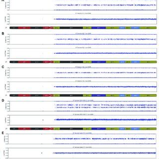 SNP-array analysis on placenta and fetal tissues of Case 1. (A)... | Download Scientific Diagram