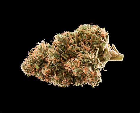 RYTHM Strain Library - Sour Diesel