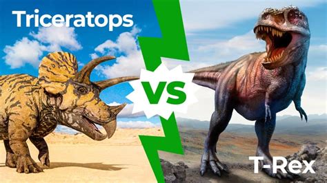 Triceratops vs T-Rex: Who Would Win in a Fight? - IMP WORLD