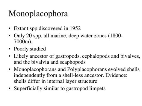 PPT - Phylum. Mollusca Class. Aplacophora √ Class. Polyplacophora √ Class. Monoplacophora ...