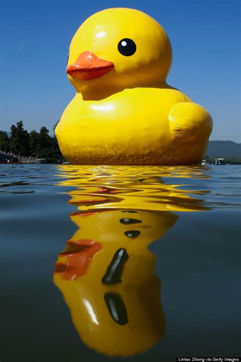 The Giant Rubber Duck Has Disappeared In China, All 54 Feet Of It | HuffPost Entertainment