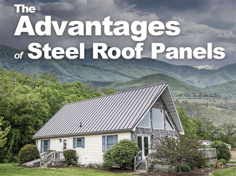 The Advantages and Disadvantages of Steel Roof Panels