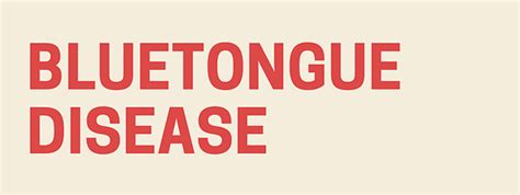 Blue tongue disease (Bluetongue Virus) [INFOGRAPHIC]