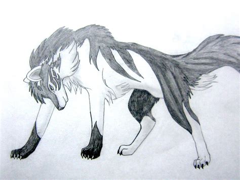 Black and White Wolf by Torikess on DeviantArt