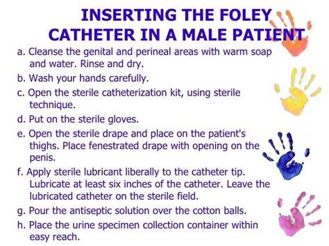 Foley Catheter Size For Female - Галерија слика