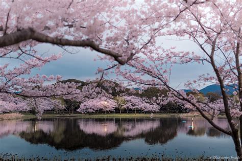 Amazing Japanese Landscape Photography – Native Ken Eyewear