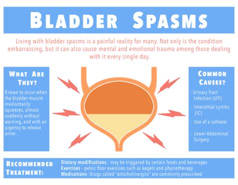 Understanding Bladder Spasms: Causes, Symptoms, and Treatment Options ...