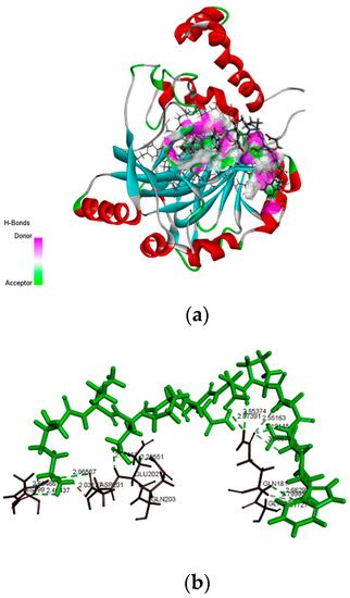 Marine Drugs | Special Issue : Marine Bioactive Peptides: Structure, Function, and Therapeutic ...