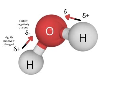 Why is water polar? - Surfguppy - Chemistry made easy for visual learners