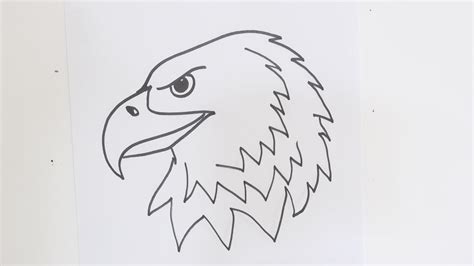 How to draw an eagle head step by step easy video tutorial for ...