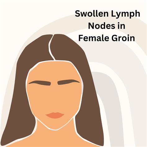 Groin Lymph Nodes