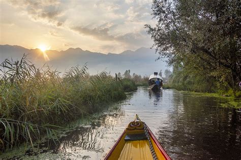 Shikara Ride in Dal Lake Srinagar - Cost, Timings, Best Spot