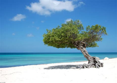 Stranded In Aruba – Would It Be So Bad, Really?