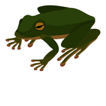 Frog Logo Vector Art PNG Images | Free Download On Pngtree