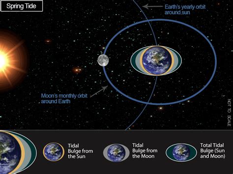 SpaceWatchtower: Requirement for World War II D-Day: Full Moon