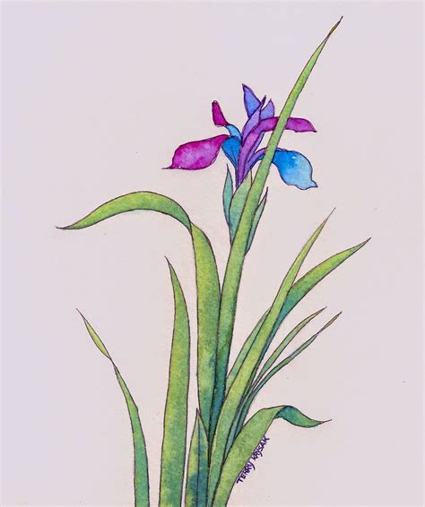 Terry Krysak Artworks: Iris No 1 Watercolor Painting