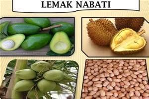 Lemak Nabati : Definisi & Jenis