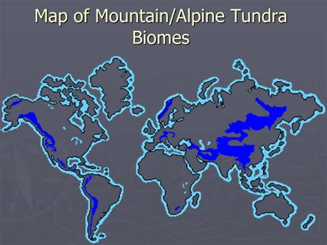 Alpine Tundra Biome - INSIGHTSIAS