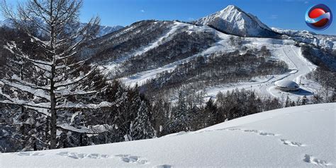 SnowJapan | The independent guide to skiing, snowboarding and ski resorts in Japan