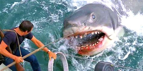 One Iconic Jaws Death Scene Was Nearly Much Longer, Says Steven Spielberg: "It Was Too Gory"