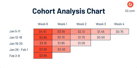 Cohort Analysis: An Insider Look at Your Customer's Behavior