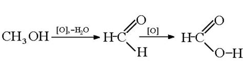 Methanol: Definition, Formula, Structure and Uses | Biology Dictionary