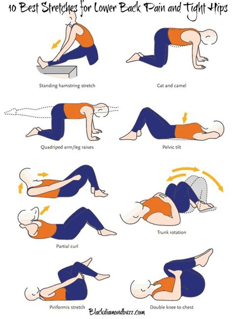 10 Best Stretches for Lower Back Pain and Tight Hips